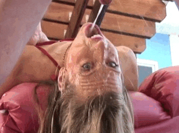 All my favorites GIFs